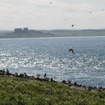 Coastal image