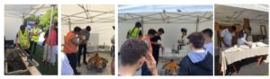 STBF_TradSkillsJun2016_image