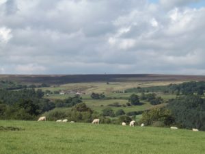 Moorland general image
