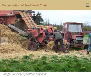 Conservation of Thatch 2017