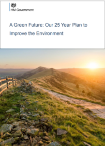25 year environment plan