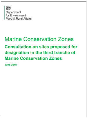publication cover