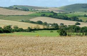 countryside