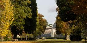 formal garden