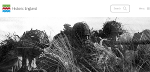website